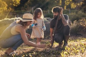 Landwirtschaft Landwirtschaft
