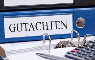 Wertgutachten Wertgutachten