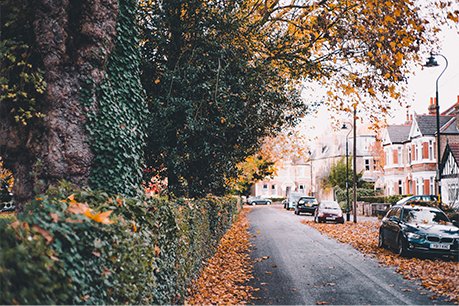 Lage und Umgebung bei Immobilien