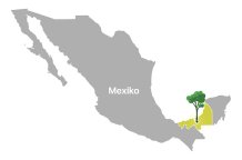 Grafische Darstellung der Yucatán-Halbinsel in Mexiko