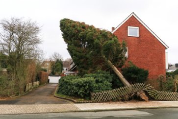 Haus Baum Sturm Bauleistungsversicherung